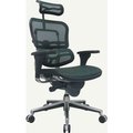 Raynor Marketing Ltd. Eurotech Mesh Managers Chair - High Back - Green - Ergohuman Series ME7ERG-KM14